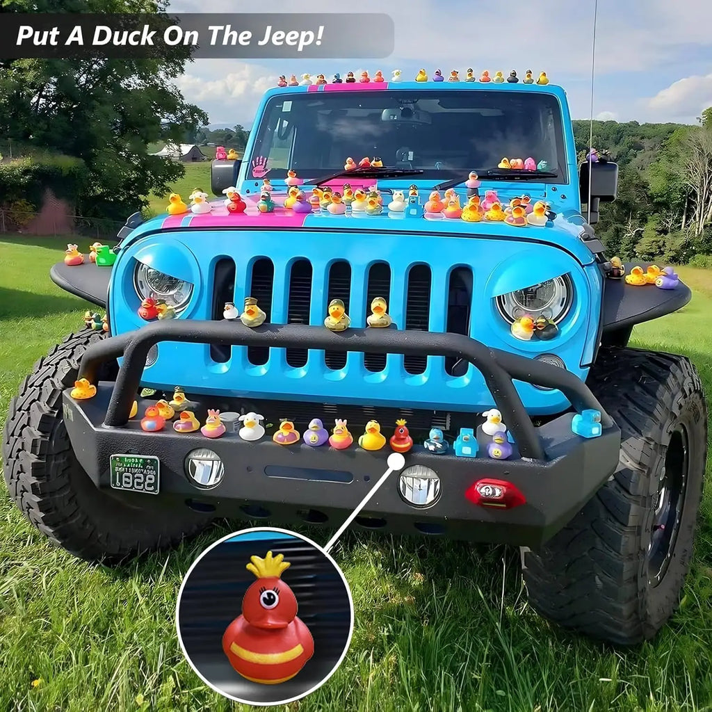 Rubber Duck Bath Toy Assortment (10–100Pc)