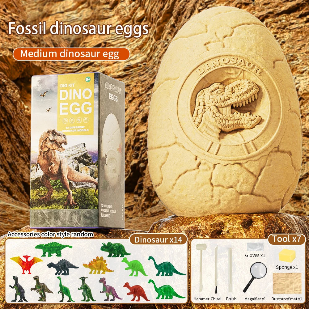 Dinosaur Dig Kit